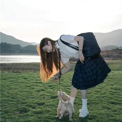 热带复眼